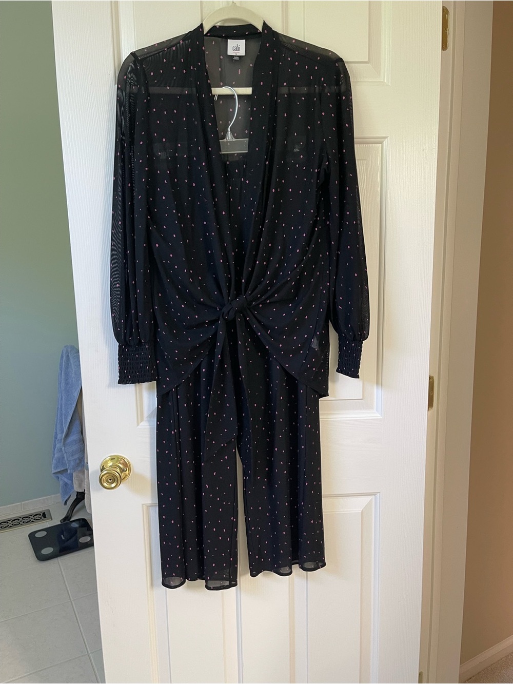 Cabi Impetuous Top and Pants